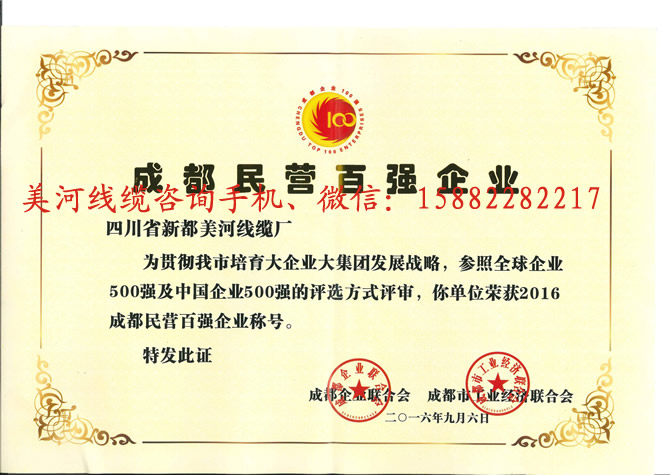 成都民營百強.jpg
